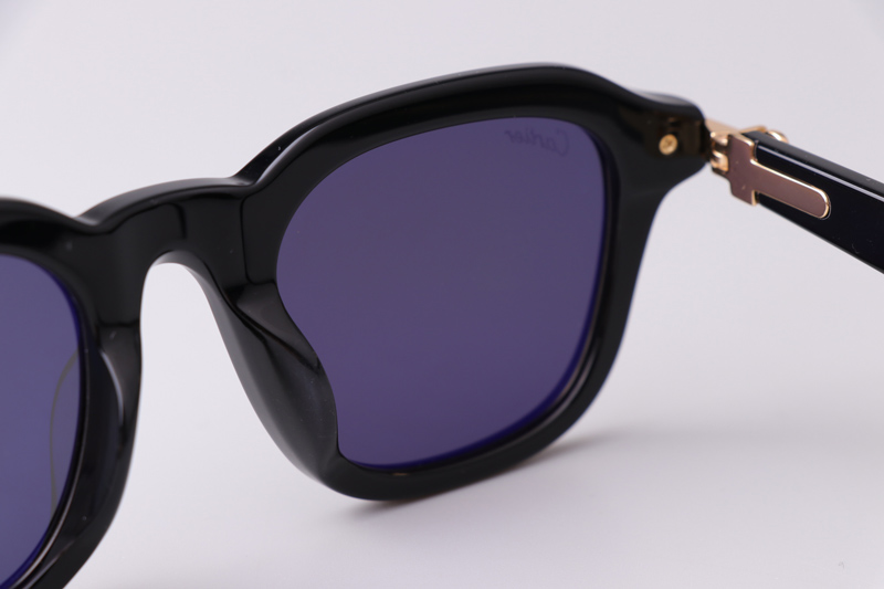 CT05363 Sunglasses Black Gold Gray
