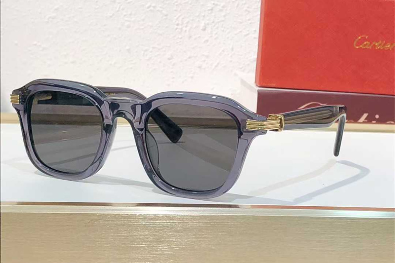 CT05363 Sunglasses Gray Gray