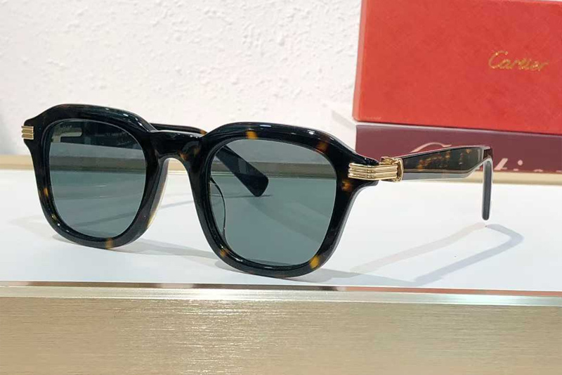 CT05363 Sunglasses Tortoise Green