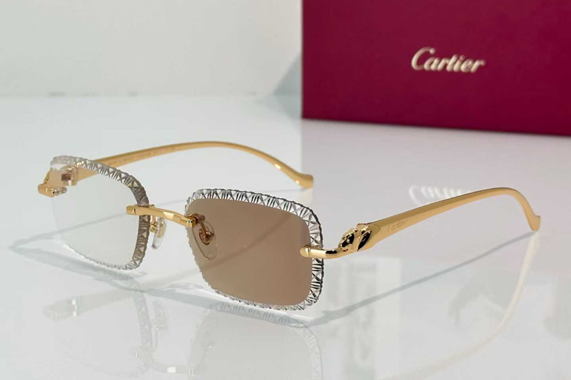 CT06122W Sunglasses Gold Photochromic Brown