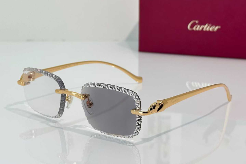 CT06122W Sunglasses Gold Photochromic Gray