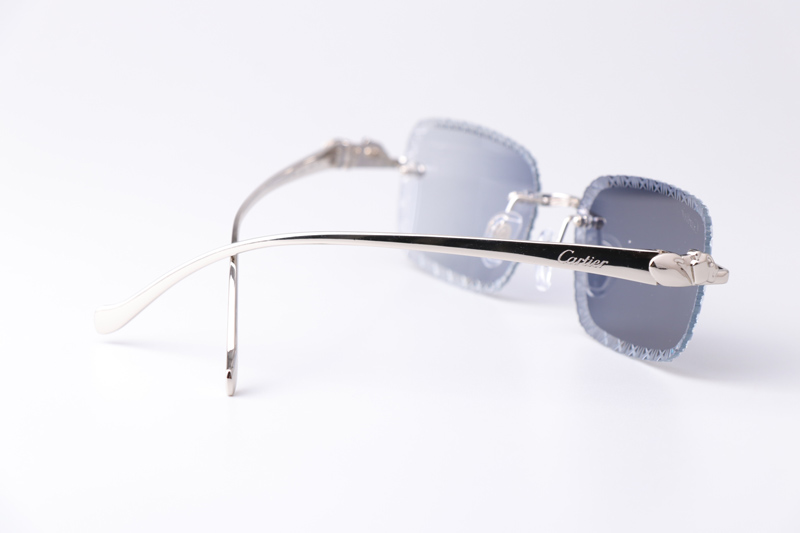 CT06122W Sunglasses Silver Photochromic Blue