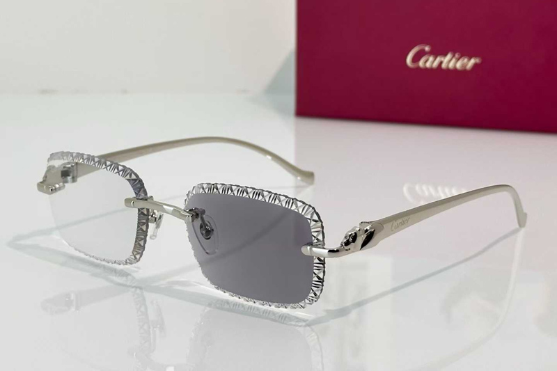 CT06122W Sunglasses Silver Photochromic Gray