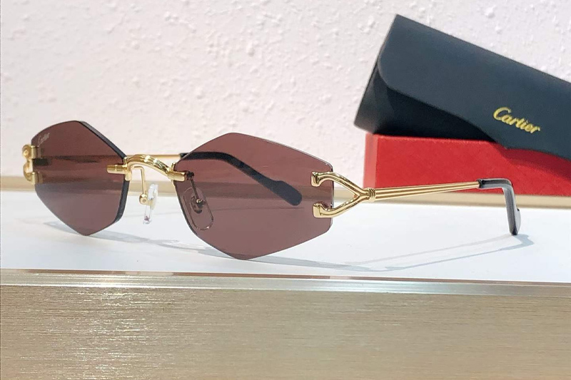 CT0620S Sunglasses Gold Brown