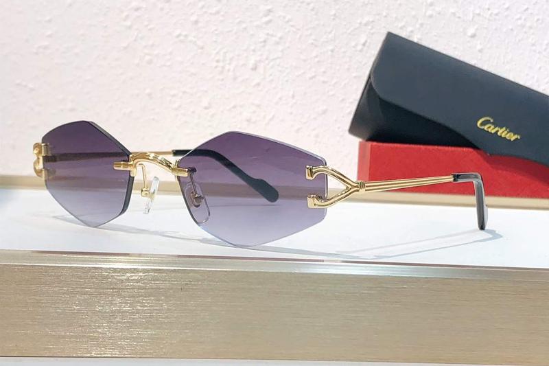 CT0620S Sunglasses Gold Gradient Gray