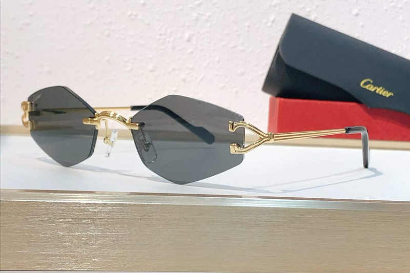 CT0620S Sunglasses Gold Gray