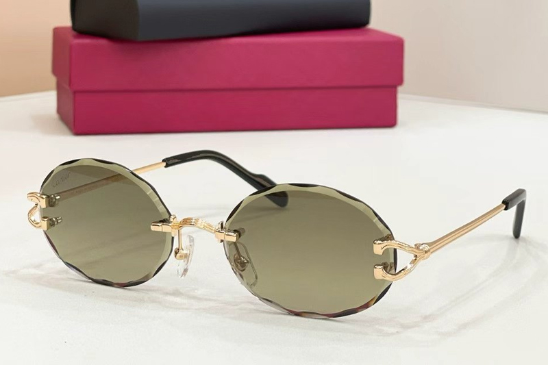 CT0631S Sunglasses Gold Green