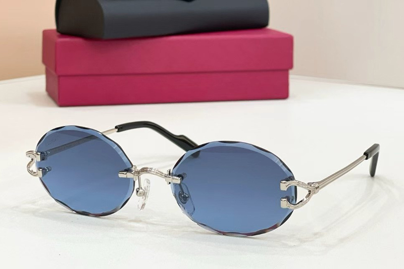 CT0631S Sunglasses Silver Blue