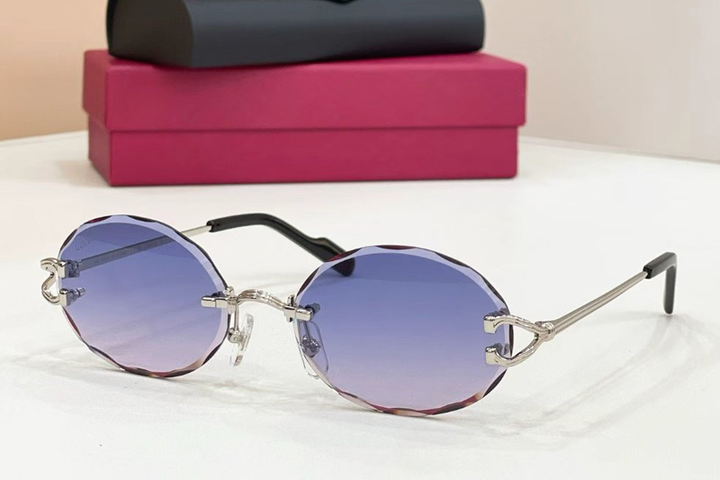 CT0631S Sunglasses Silver Gradient Blue
