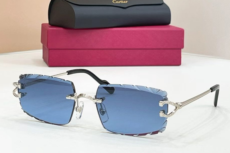 CT0632S Sunglasses Silver Blue
