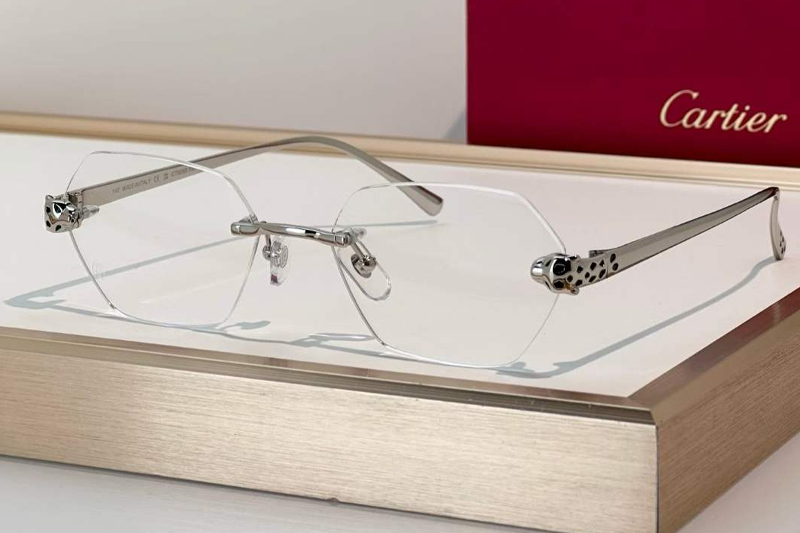 CT0636S Eyeglasses Silver