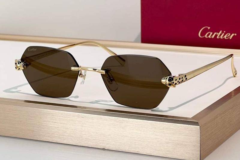 CT0636S Sunglasses Gold Brown