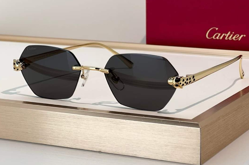 CT0636S Sunglasses Gold Gray