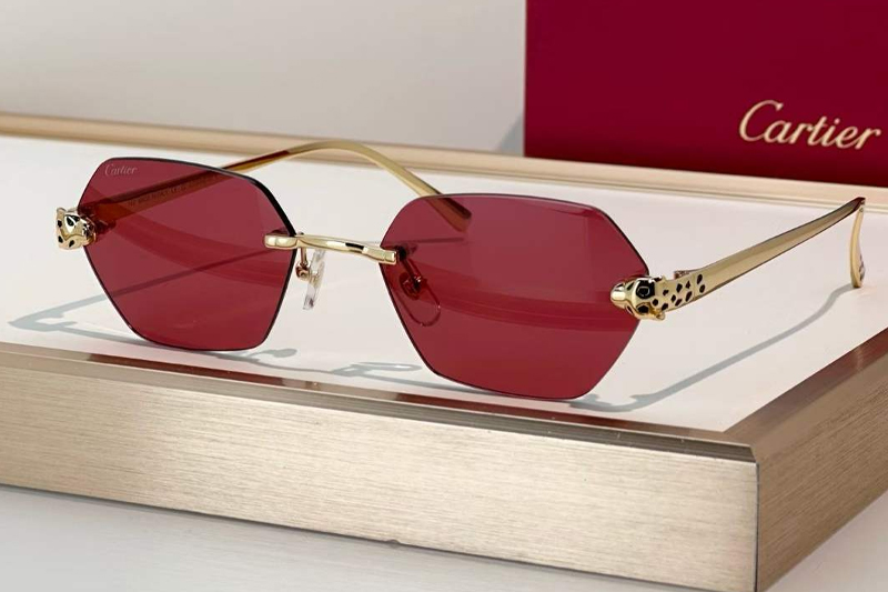 CT0636S Sunglasses Gold Red