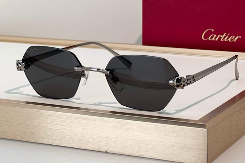CT0636S Sunglasses Gunmetal Gray