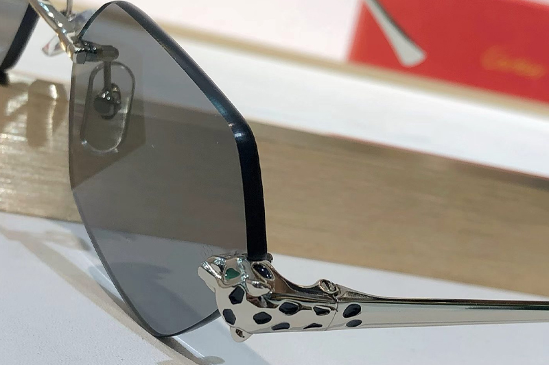 CT0636S Sunglasses Gunmetal Gray