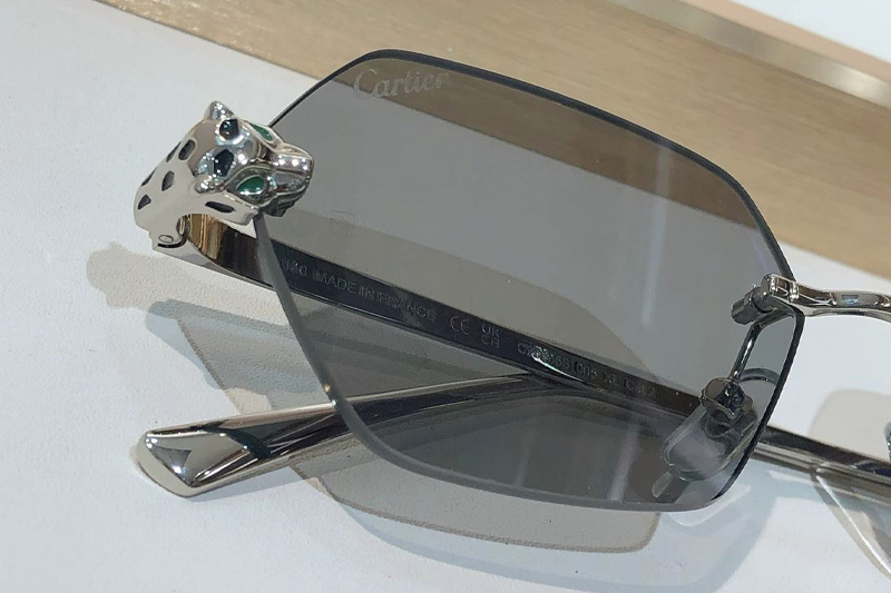 CT0636S Sunglasses Gunmetal Gray