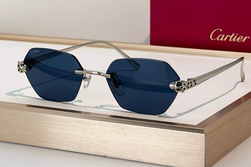 CT0636S Sunglasses Silver Blue