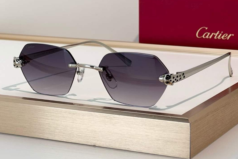 CT0636S Sunglasses Silver Gradient Gray