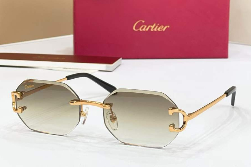 CT0834S Sunglasses Gold Gradient Brown