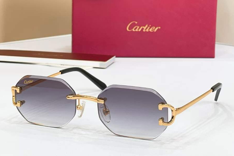 CT0834S Sunglasses Gold Gradient Gray
