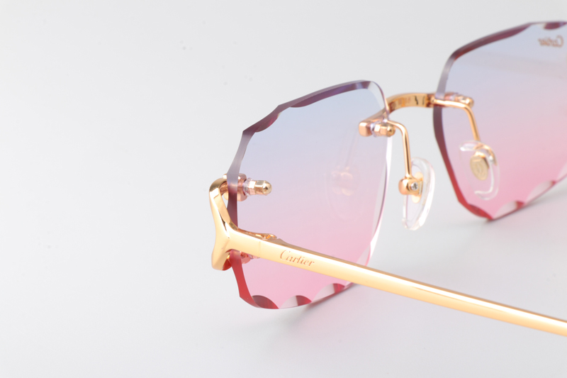 CT0834S Sunglasses Gold Gradient Pink