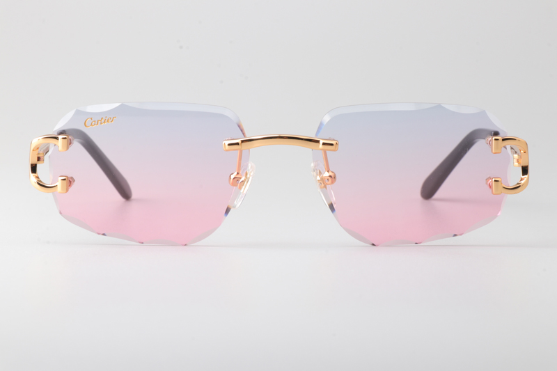 CT0834S Sunglasses Gold Gradient Pink