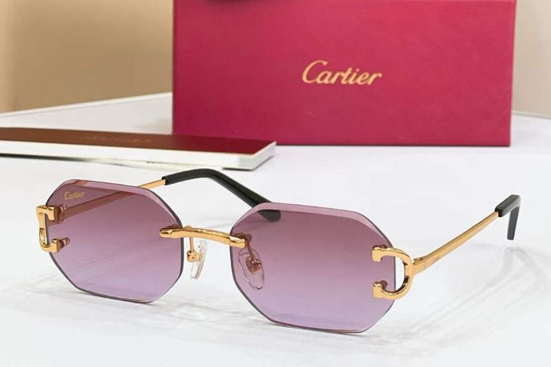 CT0834S Sunglasses Gold Gradient Purple