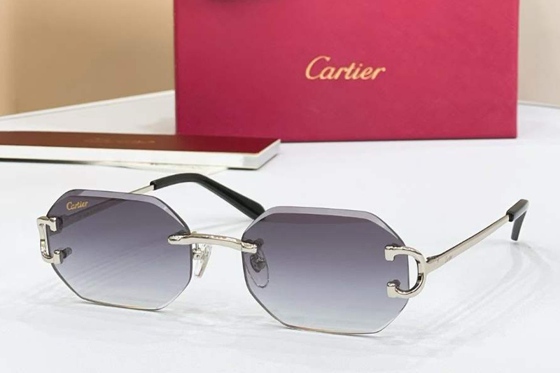 CT0834S Sunglasses Silver Gradient Gray
