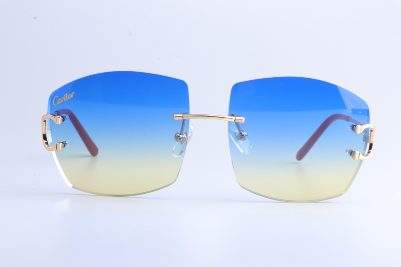 CT4193836 Sunglasses Gold Gradient Blue