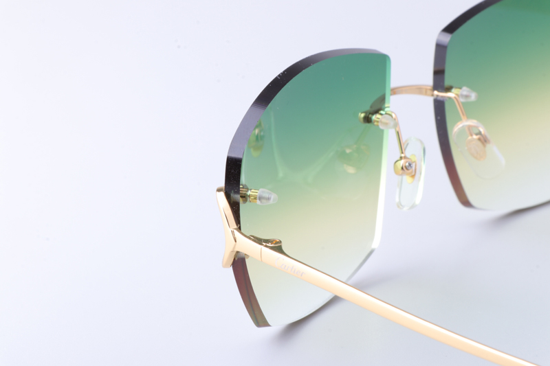 CT4193836 Sunglasses Gold Gradient Green