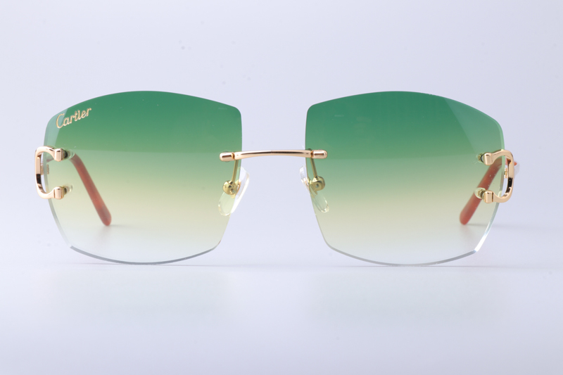 CT4193836 Sunglasses Gold Gradient Green