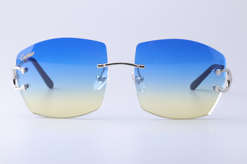 CT4193836 Sunglasses Silver Gradient Blue
