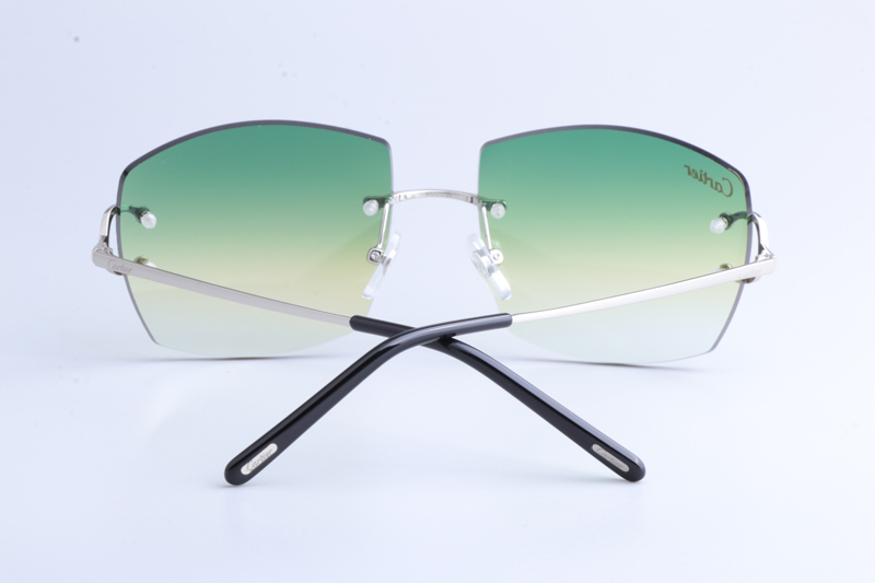 CT4193836 Sunglasses Silver Gradient Green