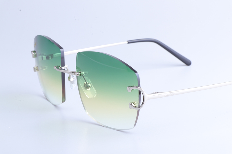 CT4193836 Sunglasses Silver Gradient Green