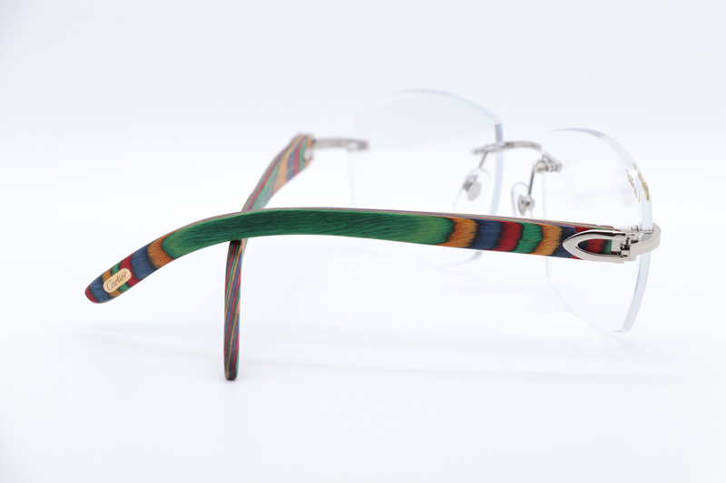 CT 4189706 Rainbow Eyeglasses Silver
