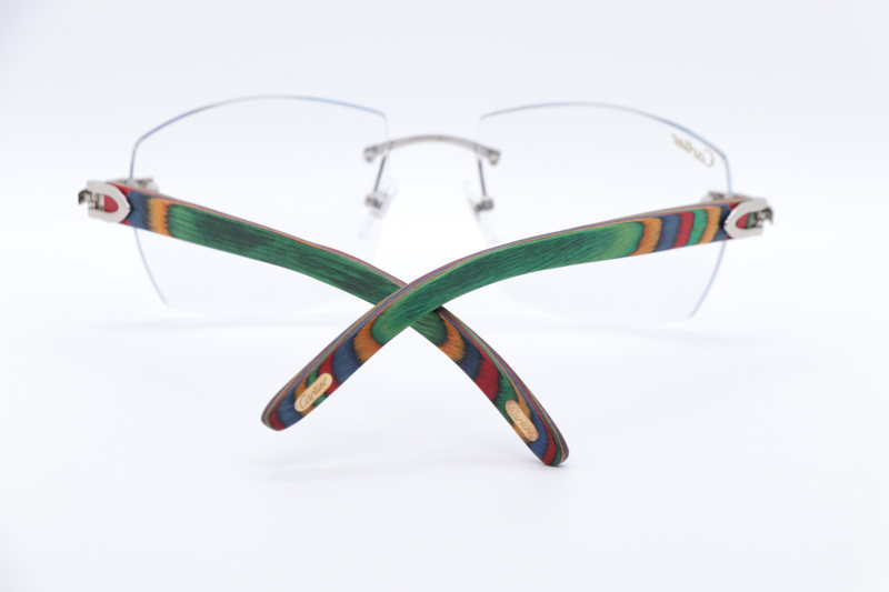 CT 4189706 Rainbow Eyeglasses Silver
