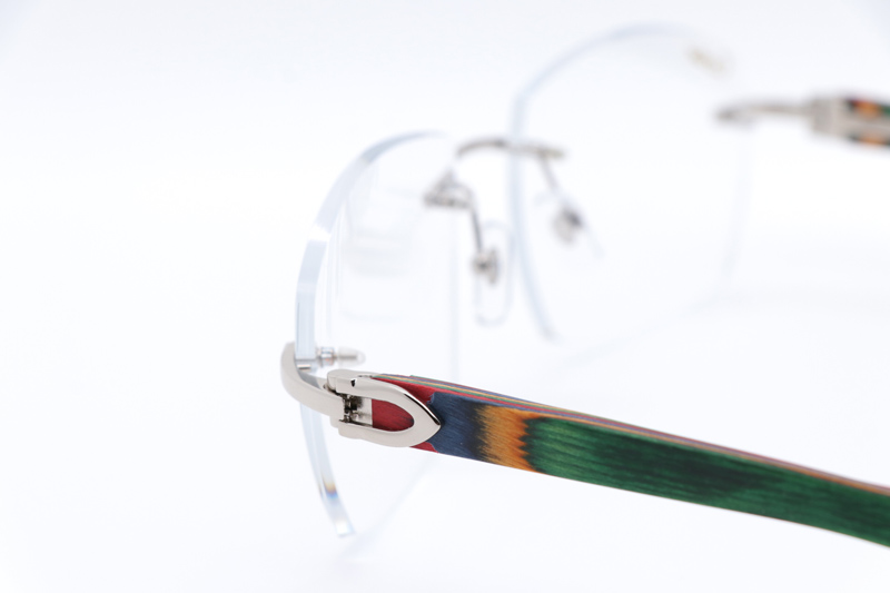 CT 4189706 Rainbow Eyeglasses Silver