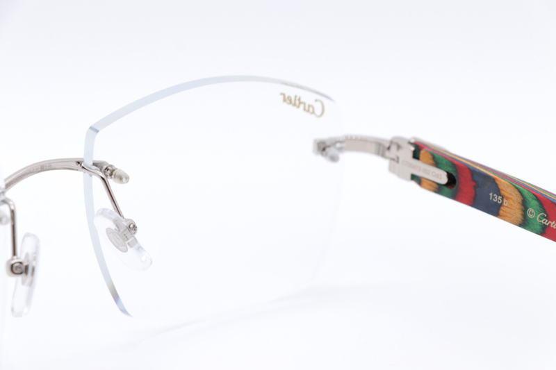 CT 4189706 Rainbow Eyeglasses Silver