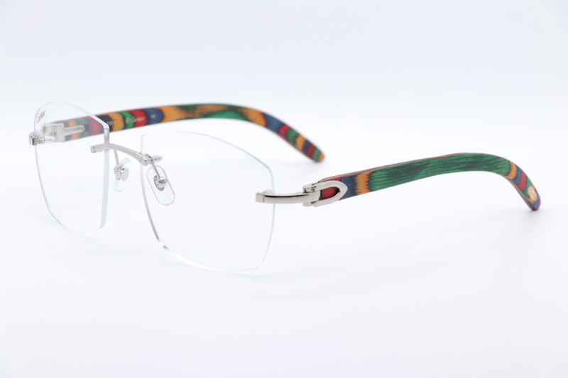 CT 4189706 Rainbow Eyeglasses Silver