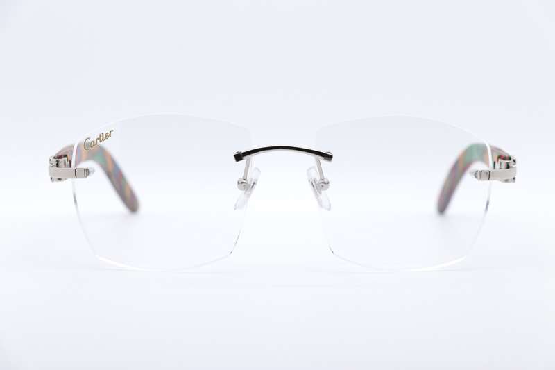 CT 4189706 Rainbow Eyeglasses Silver