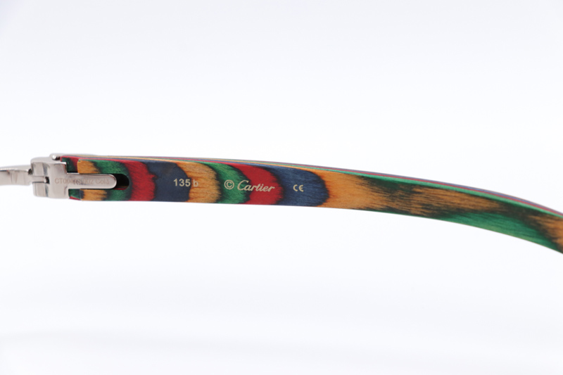 CT 4189706 Rainbow Eyeglasses Silver