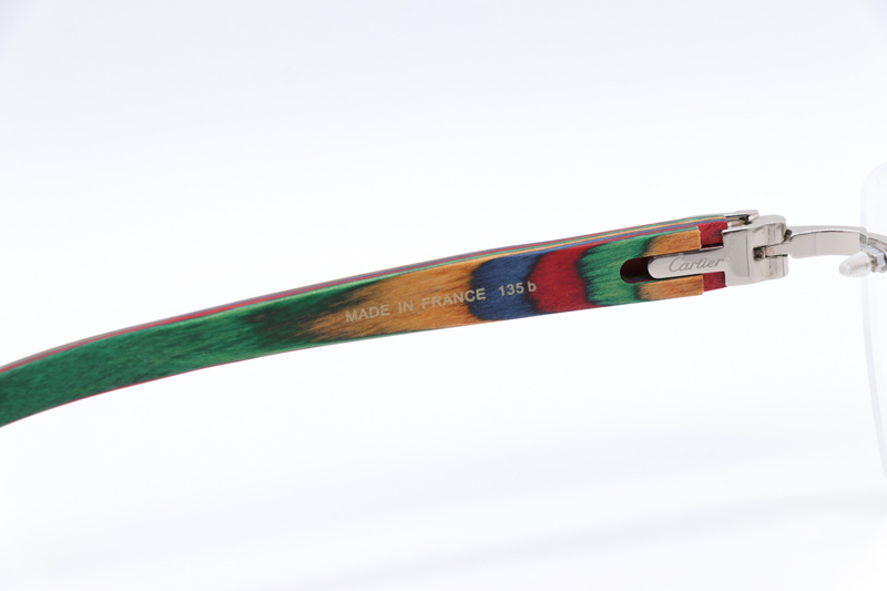 CT 4189706 Rainbow Eyeglasses Silver