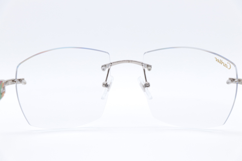 CT 4189706 Rainbow Eyeglasses Silver