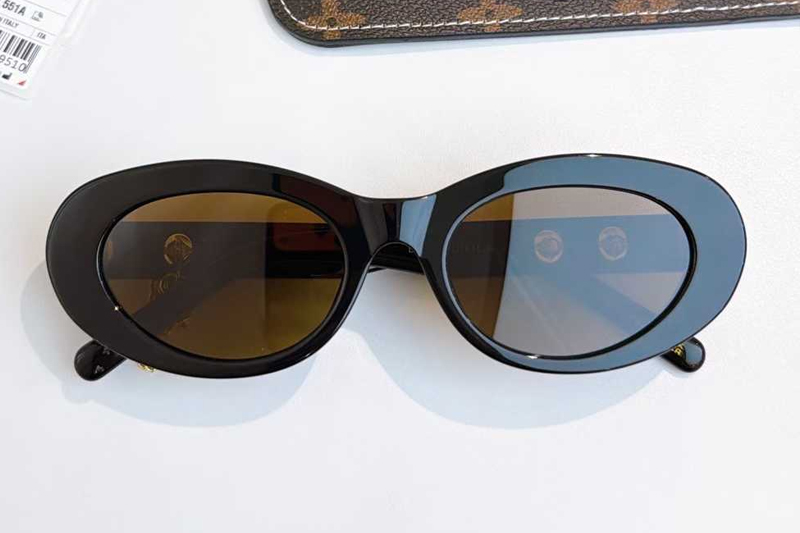 Z2987 Sunglasses Black Brown