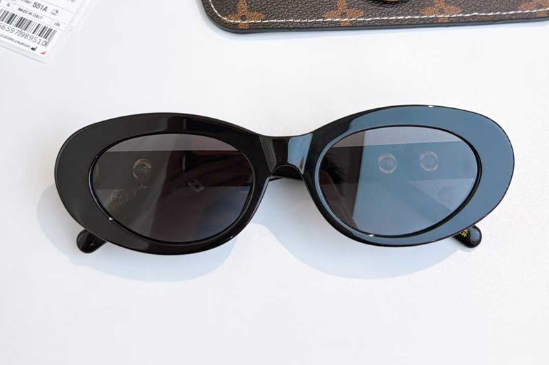 Z2987 Sunglasses Black Gray